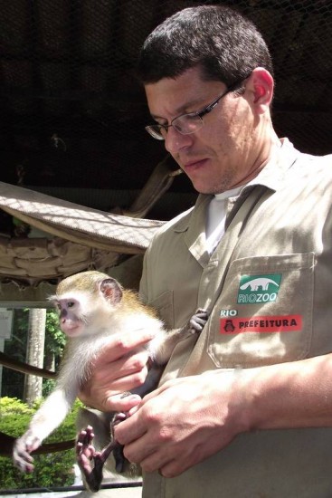 Macacos fofos se juntam para sair na foto em parque no Japão - Animais -  Extra Online