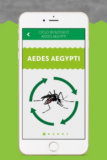 Aplicativo traz jogo interativo sobre como combater o Aedes