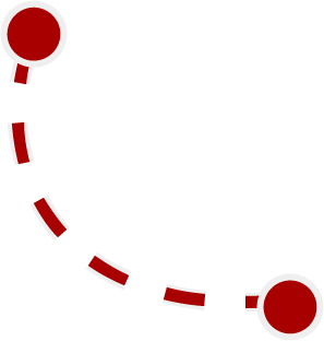 Seta 11
