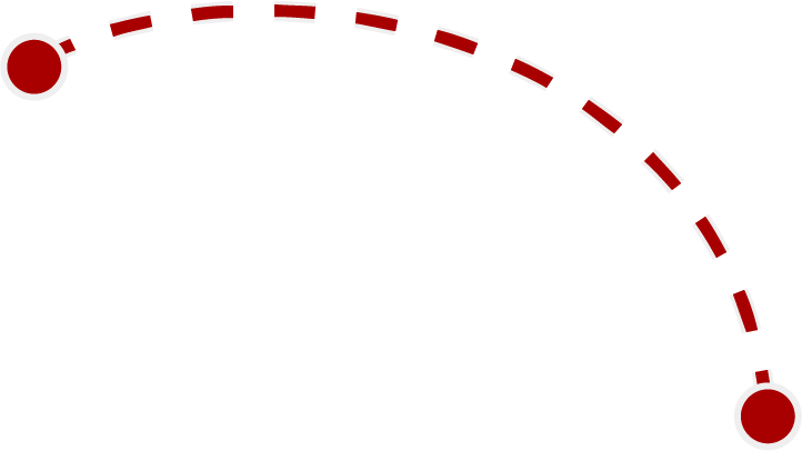 Seta 13