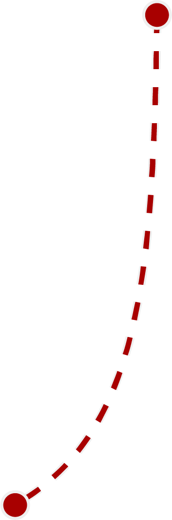 Seta 14
