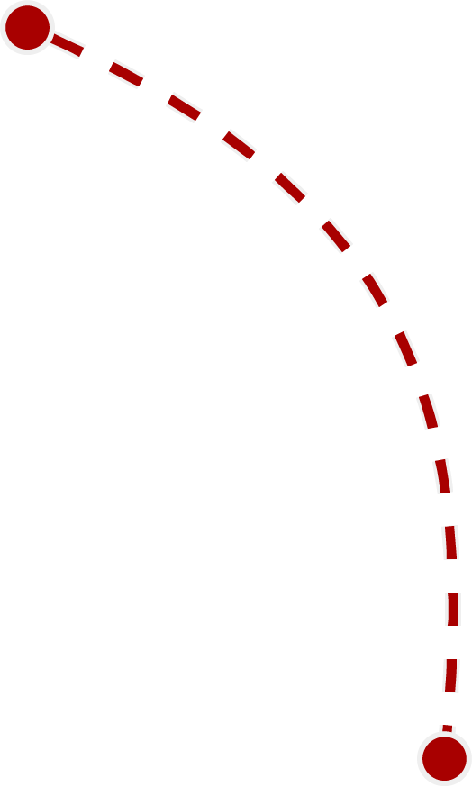 Seta 9