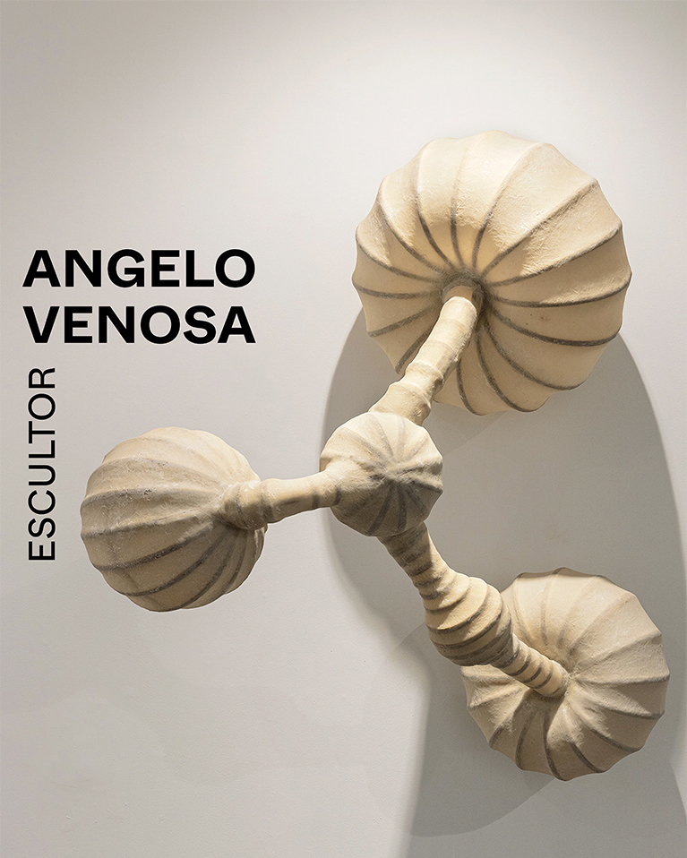 Angelo Venosa, escultor