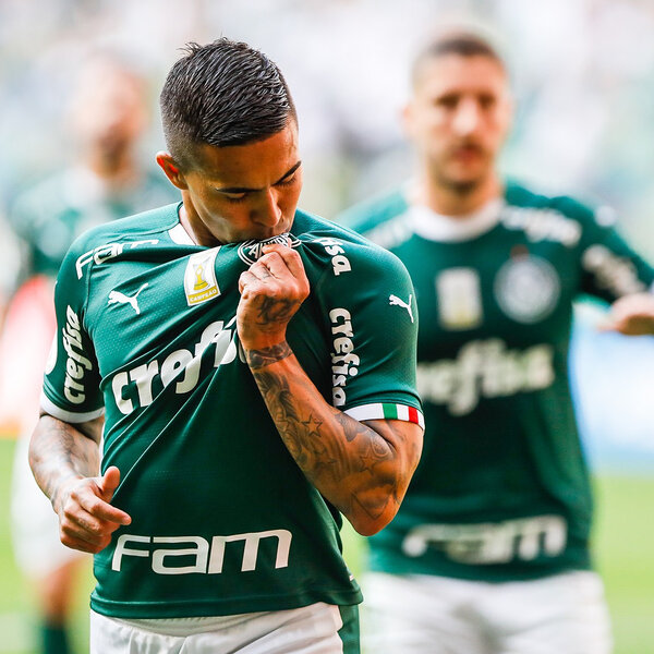 Felipe Melo recebe sexto cartão em oito jogos, e Palmeiras é o time mais  advertido do Brasileirão, palmeiras