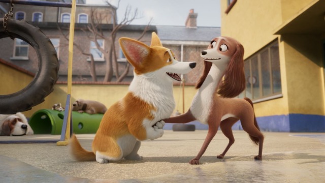 Top Dog
